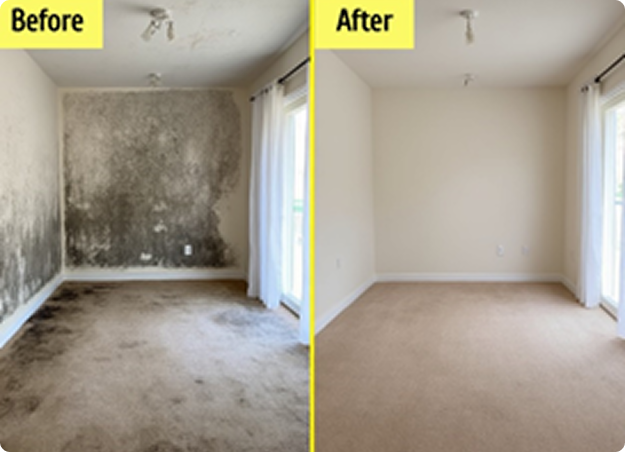 Before-And-After-2