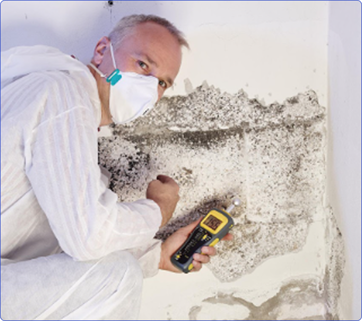 Mould Inspection