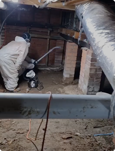 Mould-Removal-1