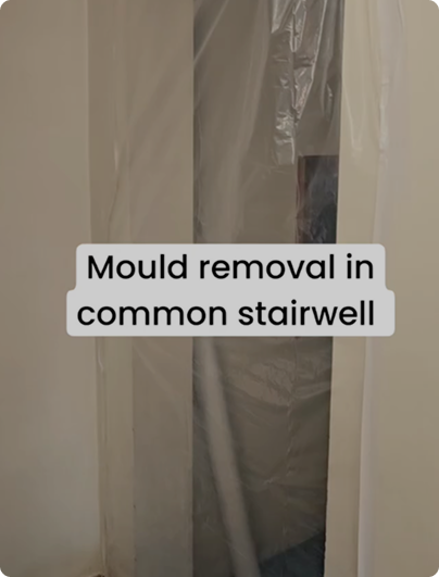 Mould-Removal-2